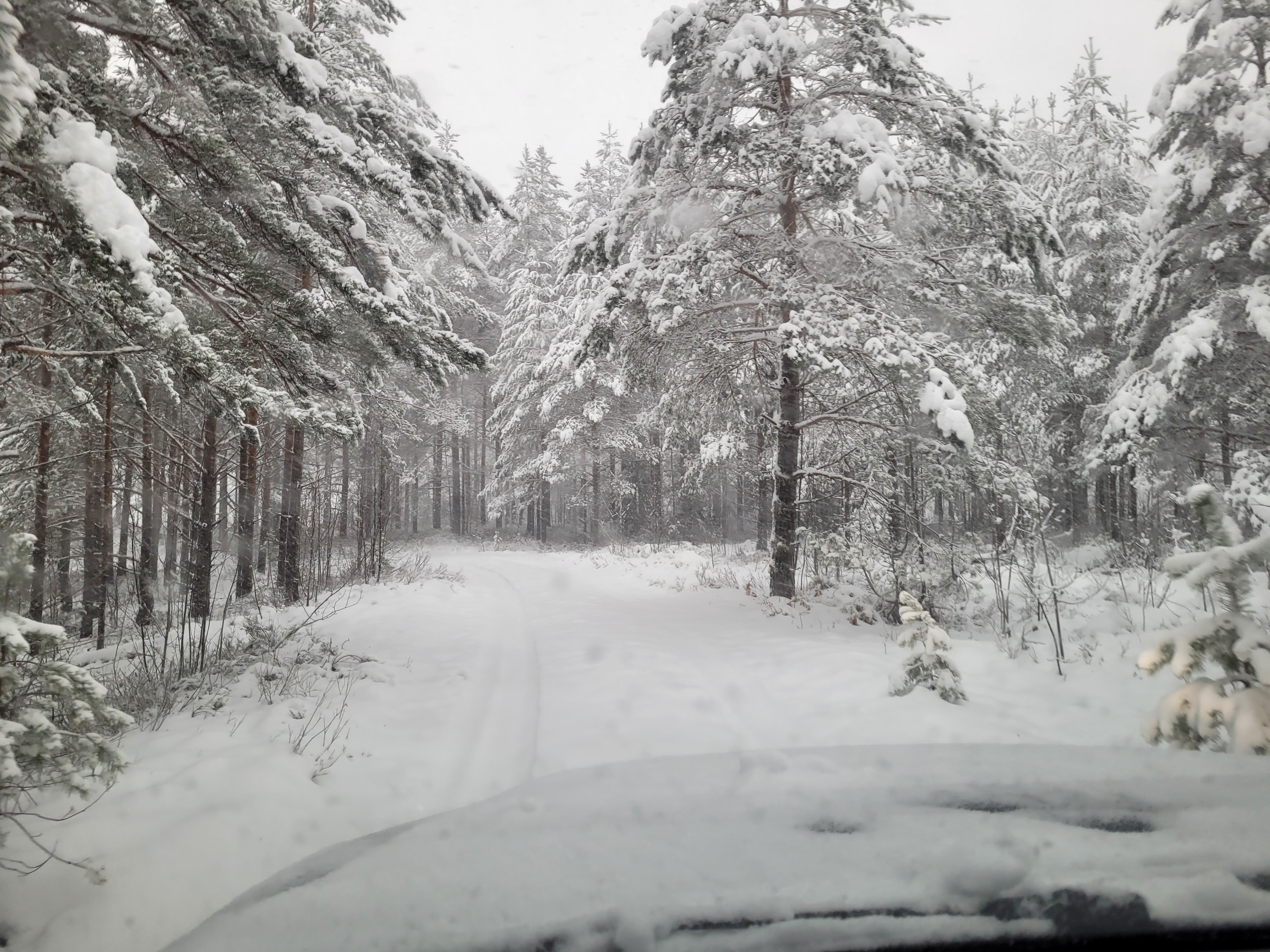 Auch bei -18°C unaufhaltbar